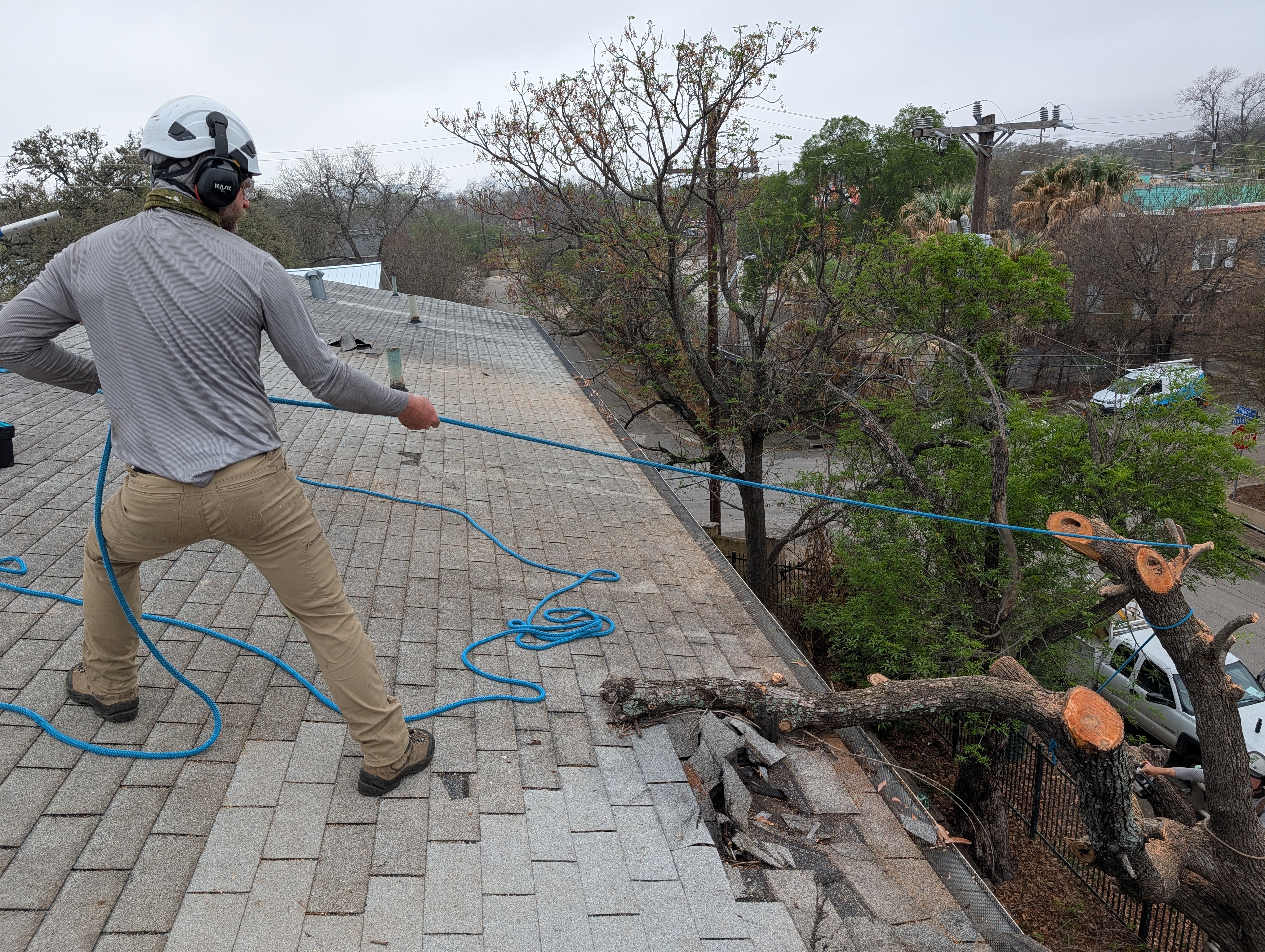Arborist using rigging ropes to safely lower a limb over a roof