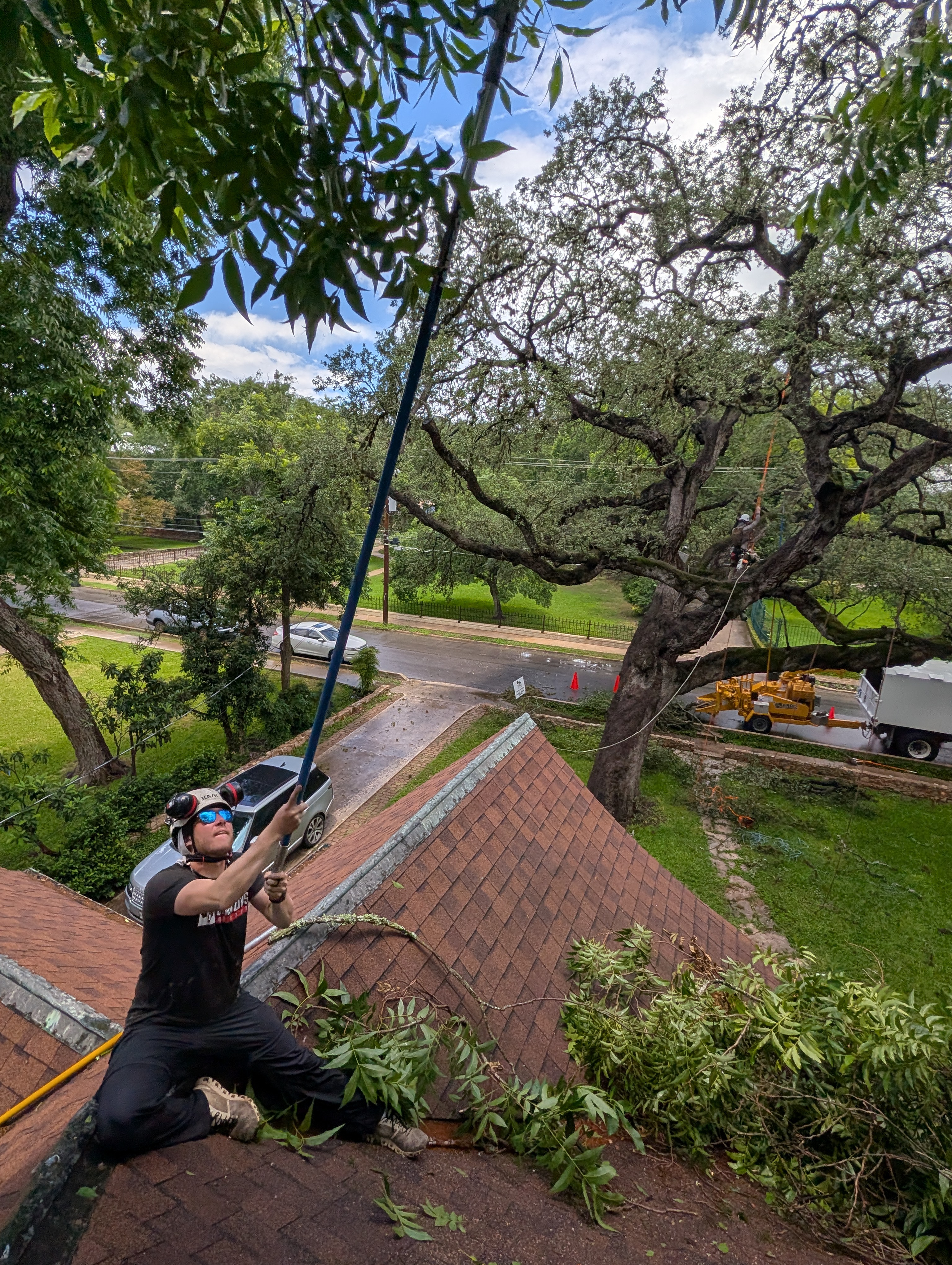 Timber Love and Care team performing professional tree trimming on a massive tree over a house roof in New Braunfels