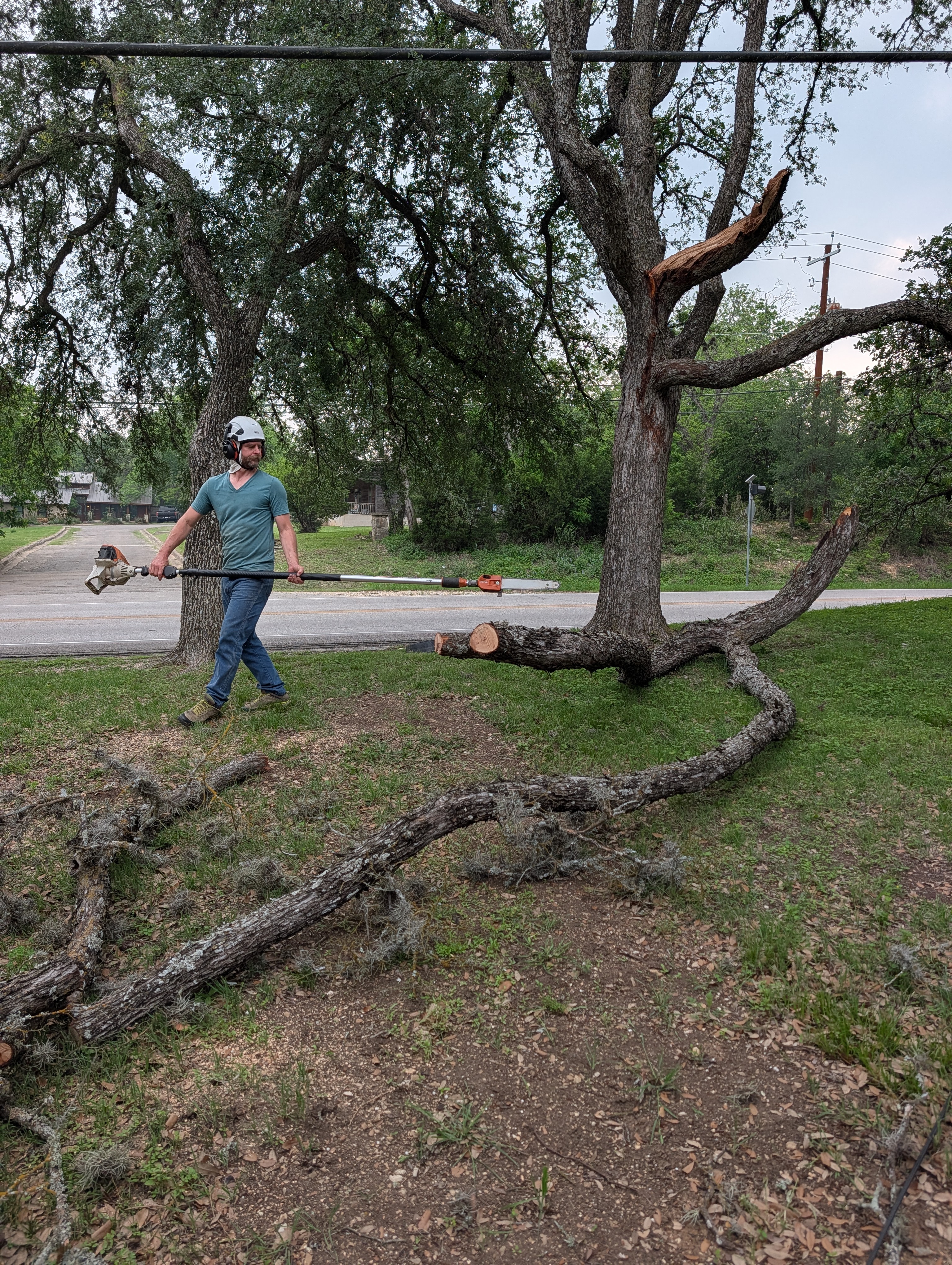 Fallen Pecan limb on a New Braunfels property