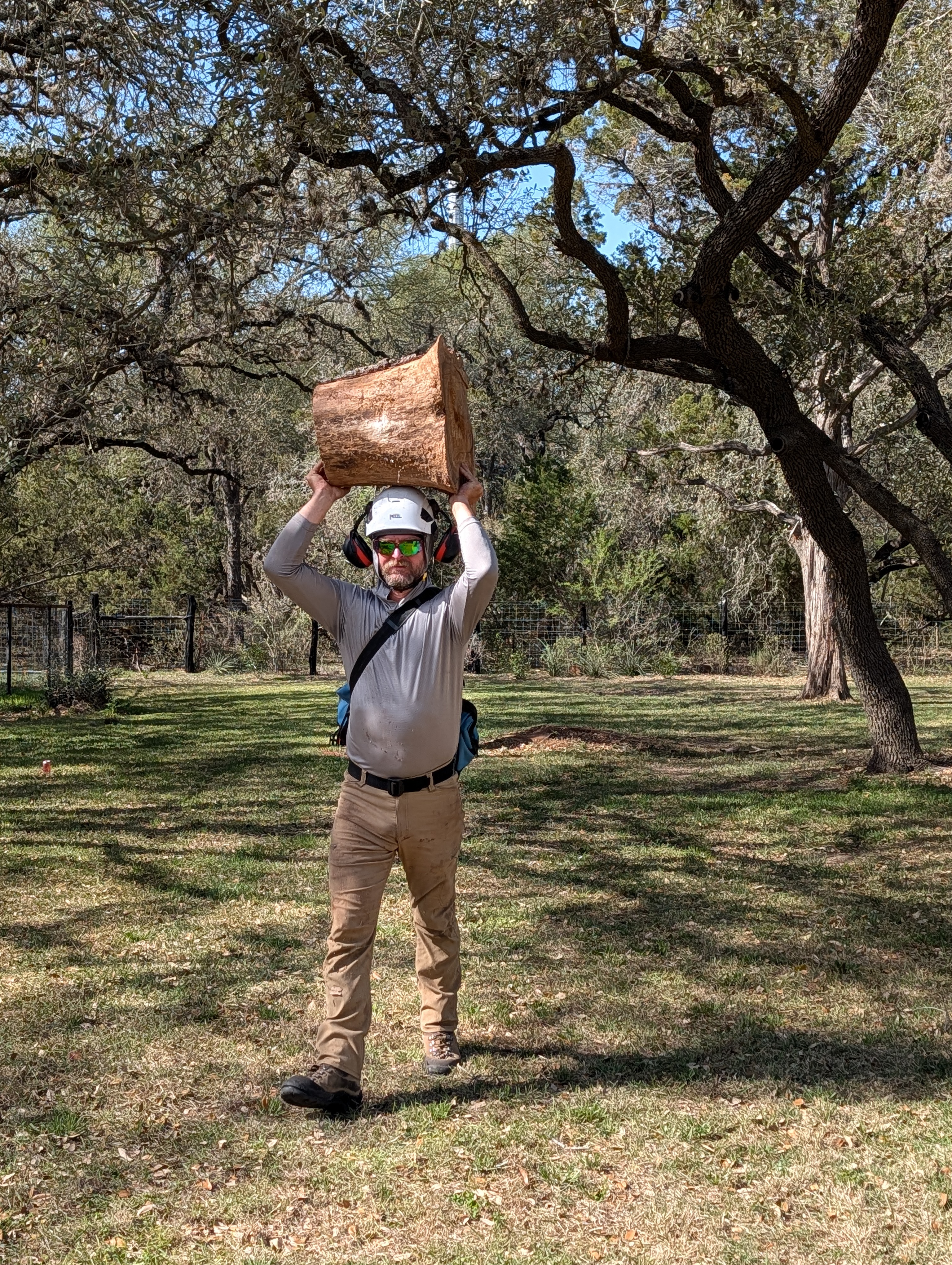 Kyle Anderson hauling heavy timber to protect the turf