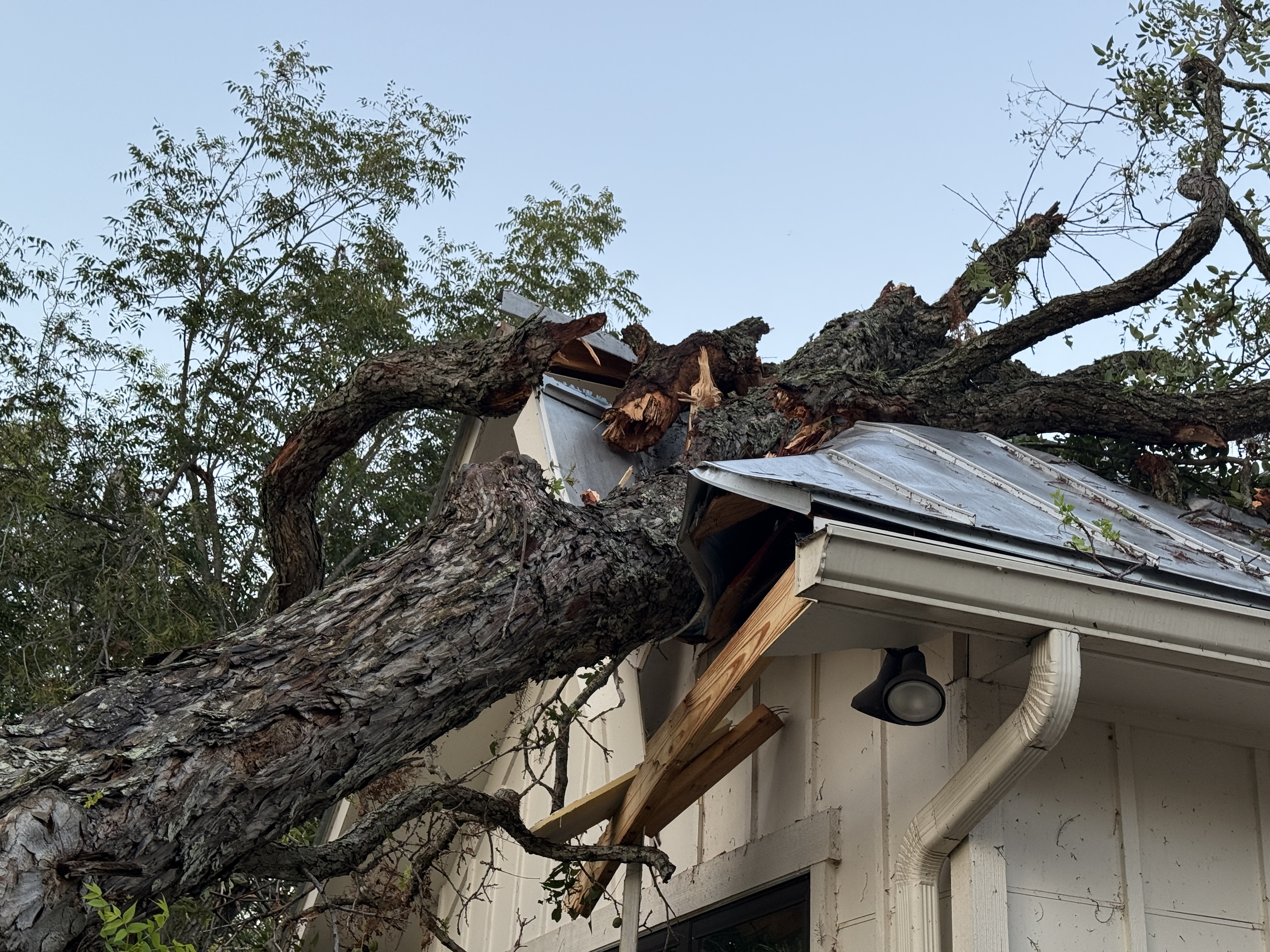 A massive, heavy pecan tree trunk crushed onto a home's metal roof.