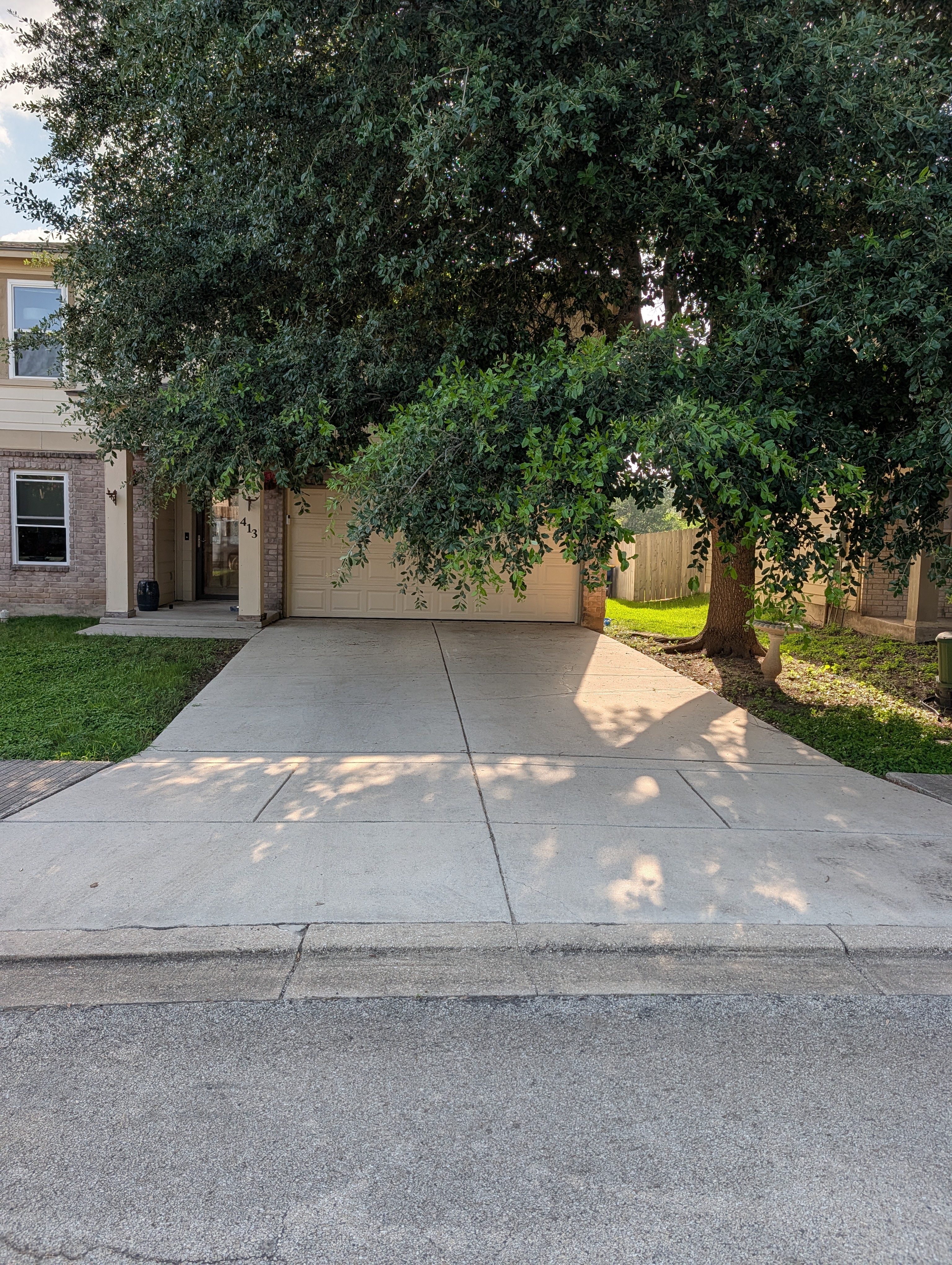 Before tree trimming: Low hanging oak branches blocking a New Braunfels driveway
