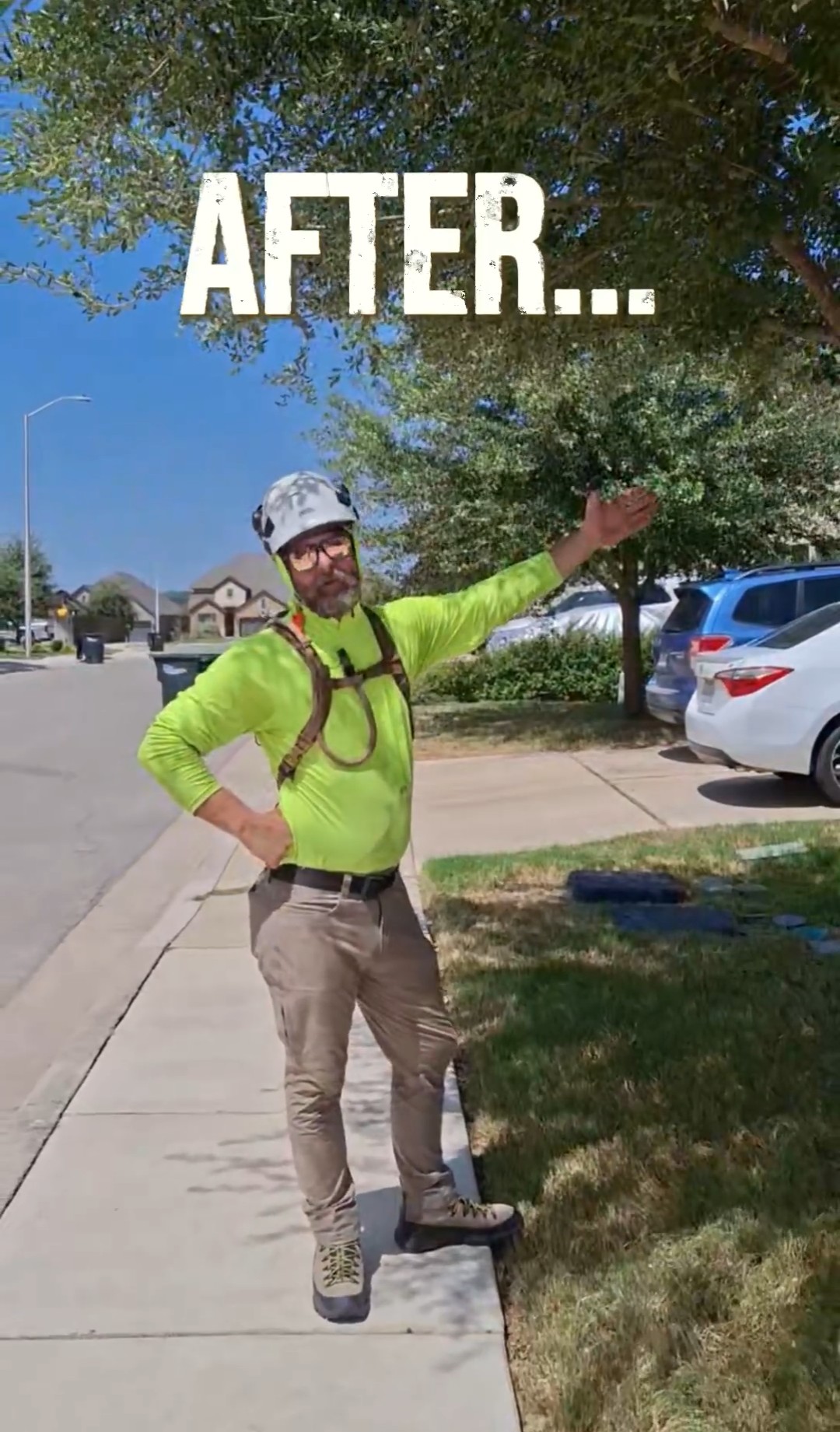 Arborist standing easily under a cleanly pruned and lifted tree canopy on a sidewalk.