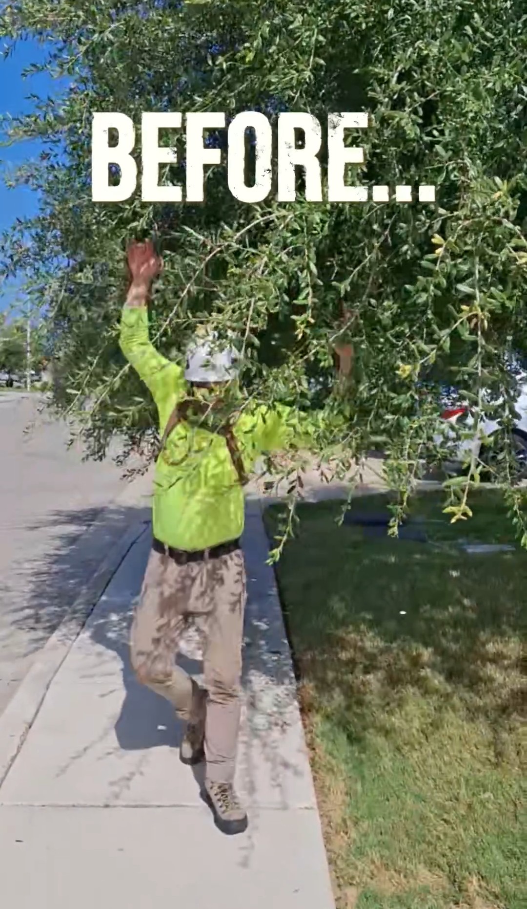 Arborist pushing through low-hanging tree branches blocking a residential sidewalk.