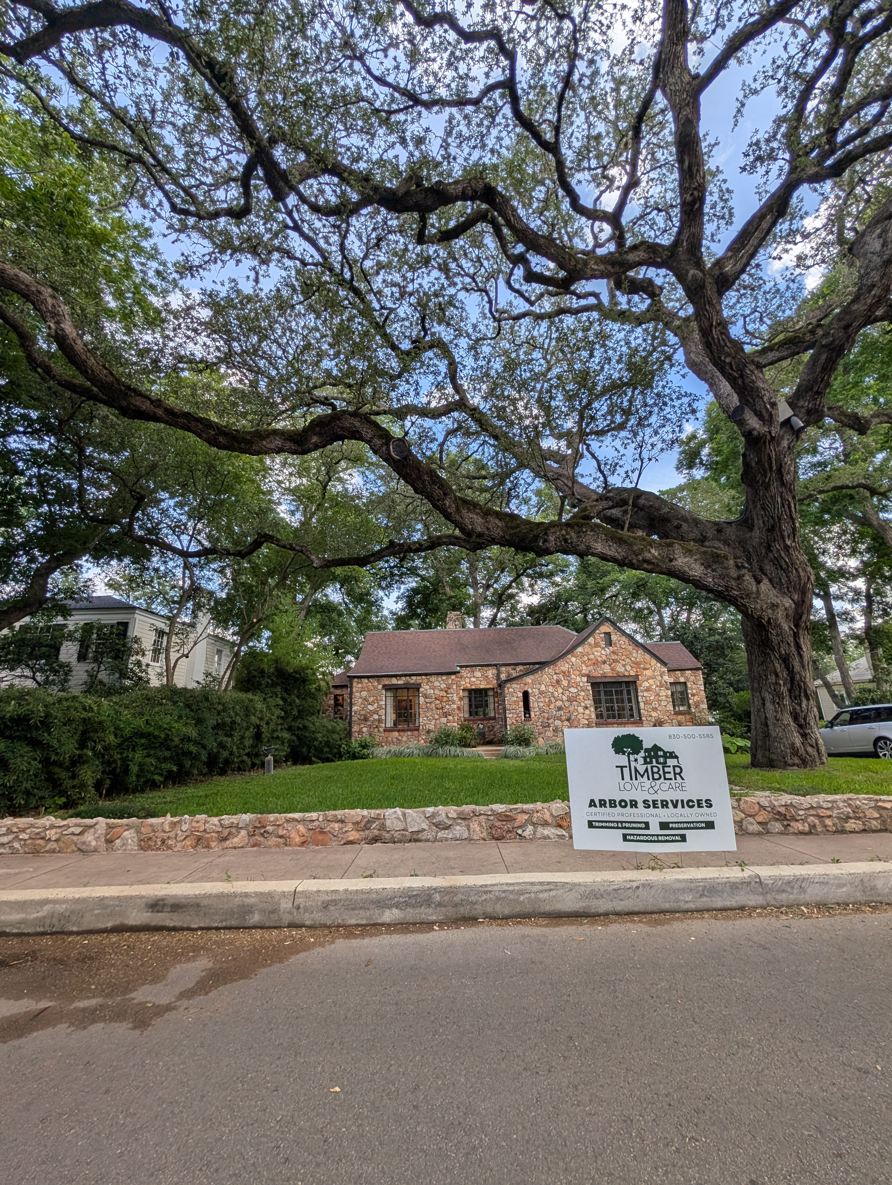 A sprawling, perfectly pruned heritage oak tree sprawling across the front yard of a beautiful stone home with a Timber Love & Care sign.