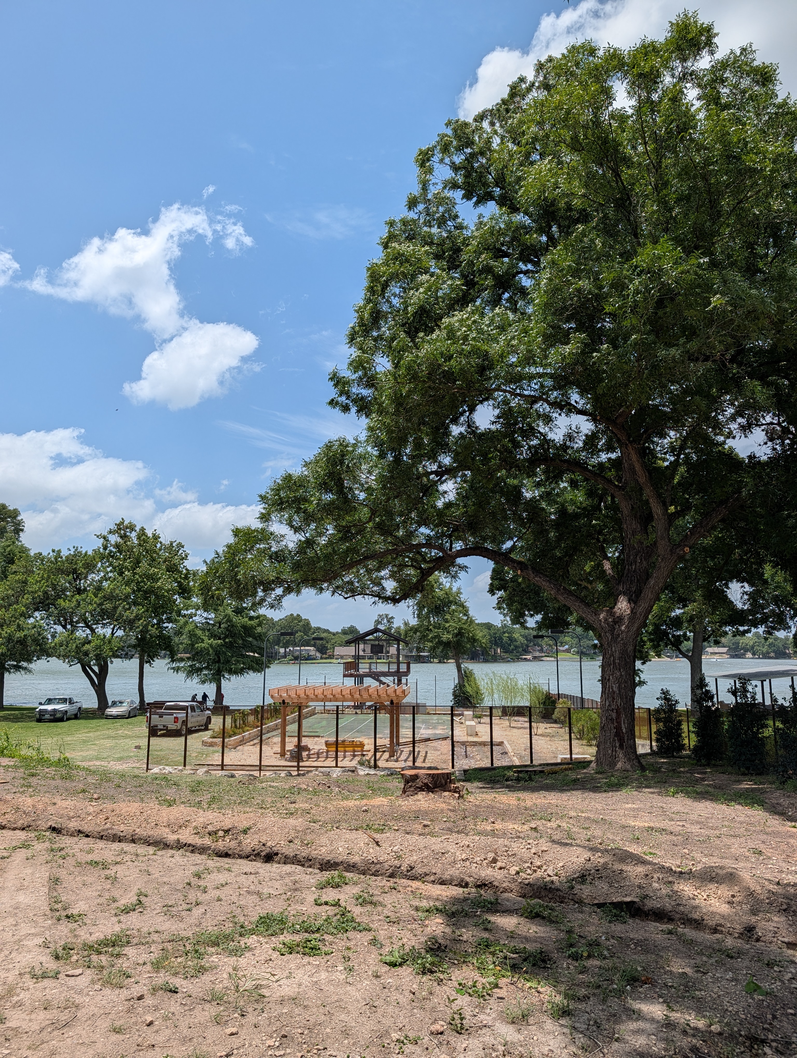 Vista pruning over a lake view
